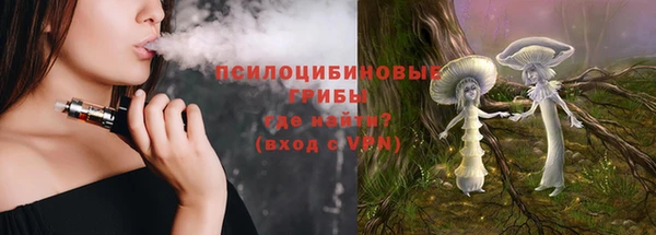 гидропоника Алзамай