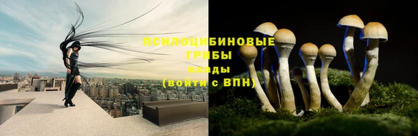 марки lsd Алексин