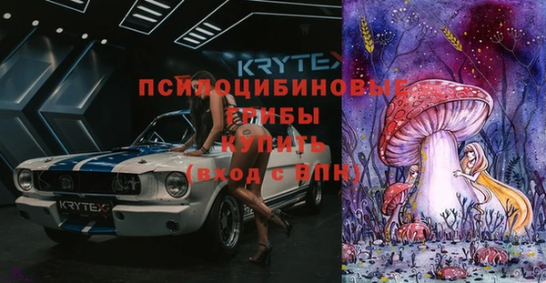 стафф Алексеевка