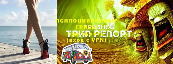стафф Алексеевка