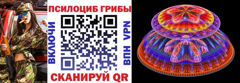 Галлюциногенные грибы Psilocybe  наркота  мега зеркало  Чернушка 