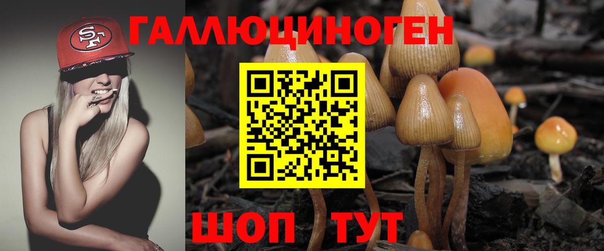 Псилоцибиновые грибы Cubensis  Псилоцибиновые грибы ЛСД  Вход с VPN  Чернушка 