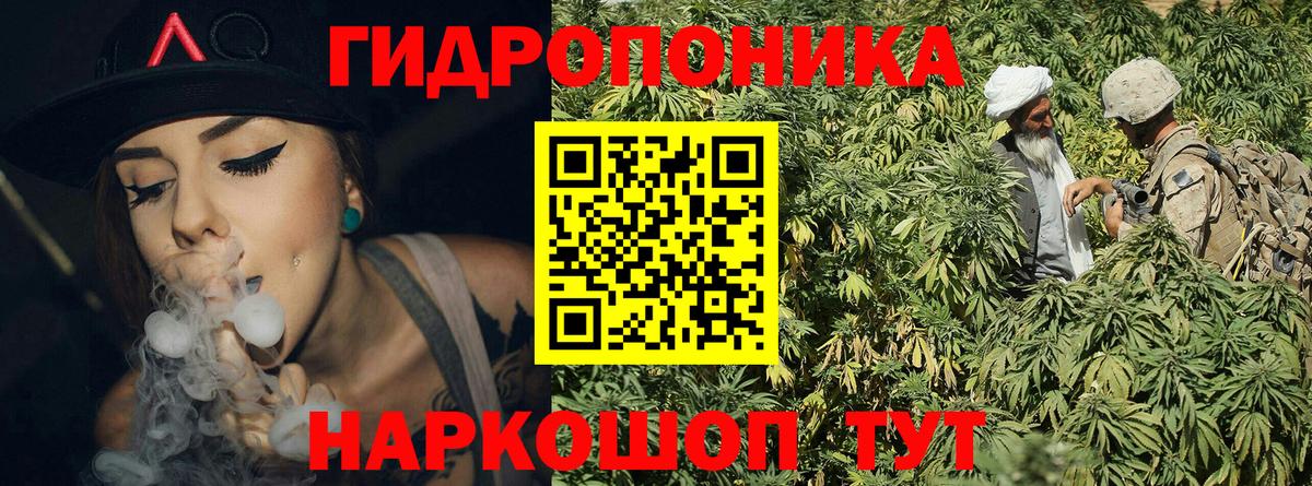 Бошки Шишки марихуана  Бошки марихуана тримм  Чернушка  Вход с VPN  Шишки марихуана OG Kush 